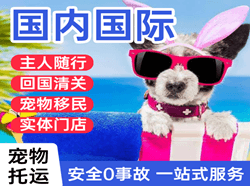 遵义新舟航空快运国际宠物托运 【国
